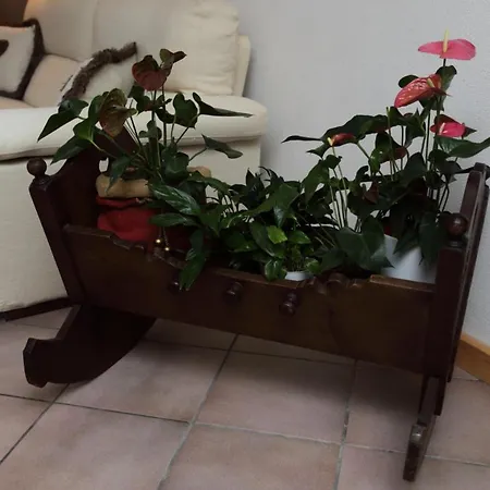 Guest house Garni Miravalle Moena